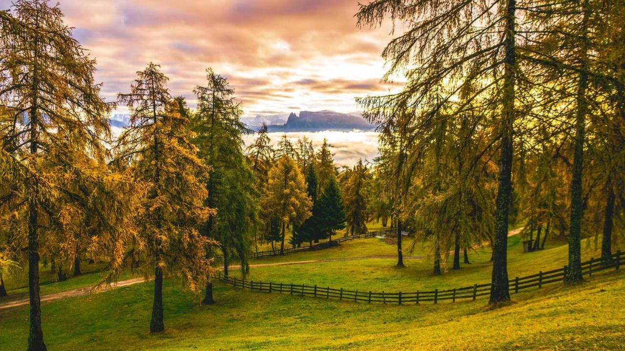 Aster Moments Apt Moritz San Genesio Atesino Dış mekan fotoğraf